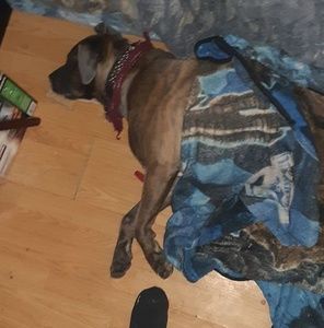 Meet your Posher, Thomas